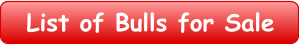 List of Bulls for Sale