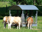 Feeder for feeding roughage to pastured cattle