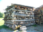 European style storage of firewood, whole trees and large logs